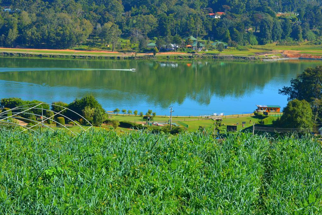 Guest House Hill Paradise Nuwara Eliya Dış mekan fotoğraf